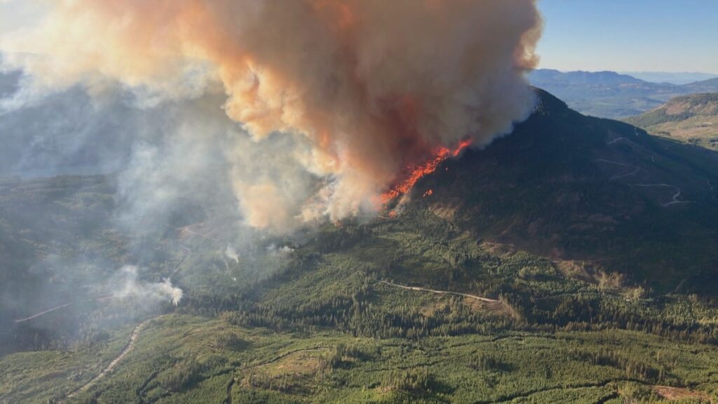 Bayers Lake Fire